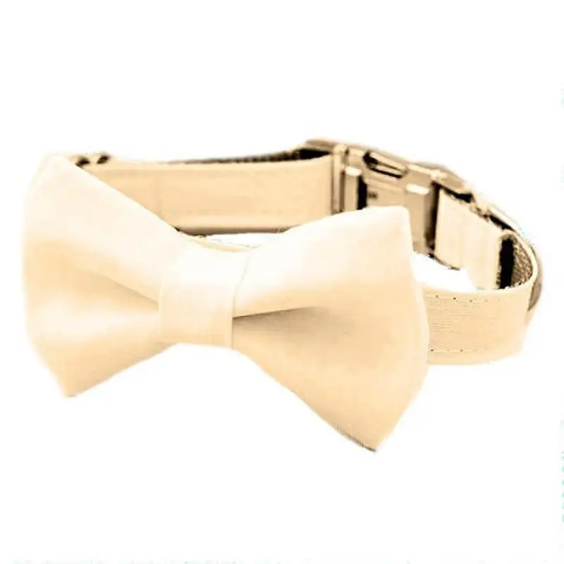Off White Bow Tie Dog Collar