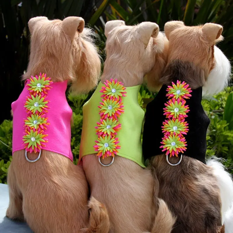 Sea Urchin Bailey II Dog Harness by Susan Lanci XXS