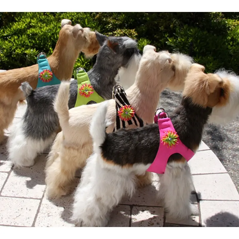 Sea Urchin Dog Step In Harness by Susan Lanci Teacup
