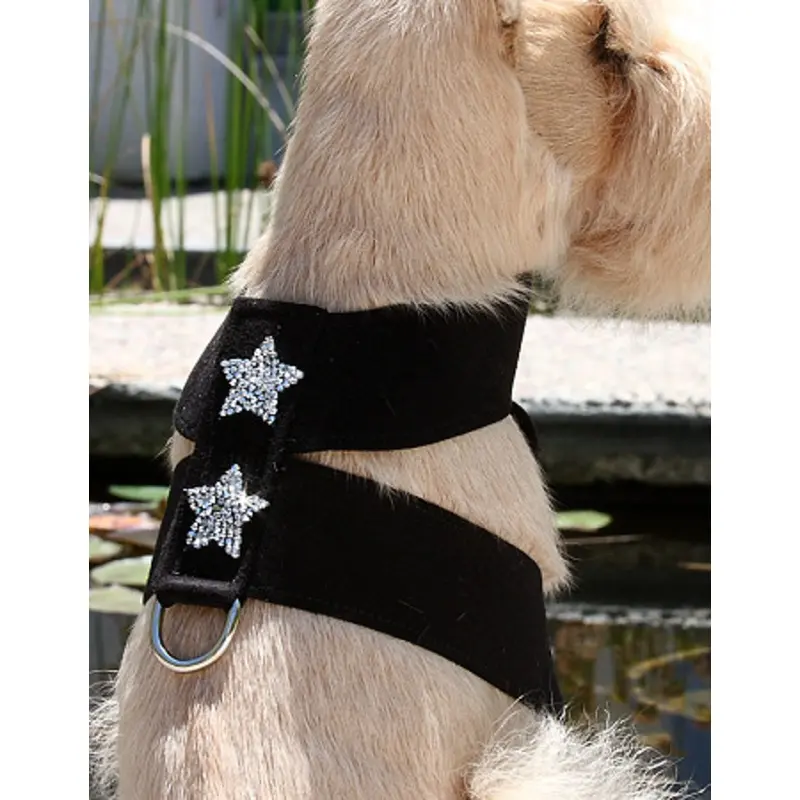 Rock Star Dog Tinki Harness by Susan Lanci - 30 Colors
