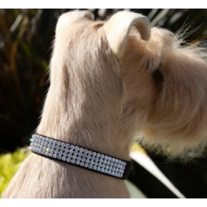 Giltmore Crystal 4-Row Collars