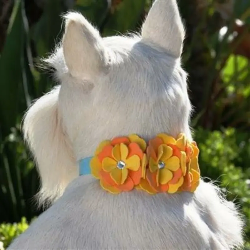 Darla Flowers Dog Collar & optional Leash Non Returnable - Ships in 12 -17 Business days