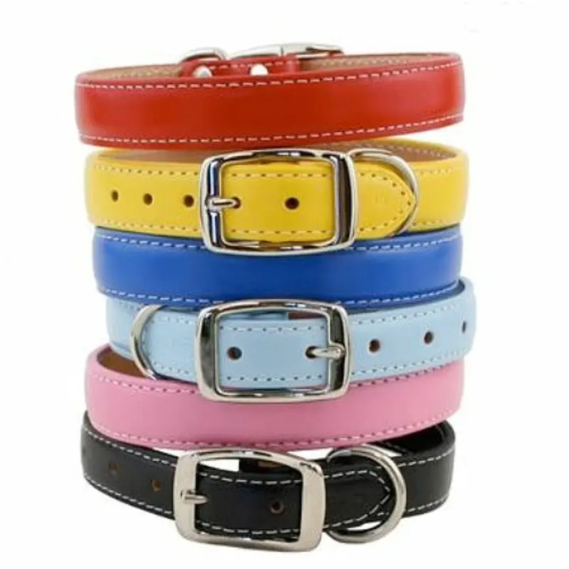 Dover Court Leather Dog Collar