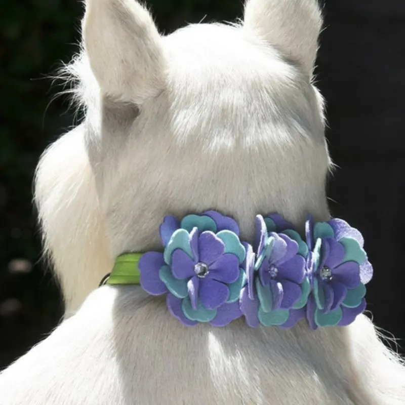 Emma Flowers Dog Collar & optional Leash Non Returnable - Ships in 12 -17 Business days