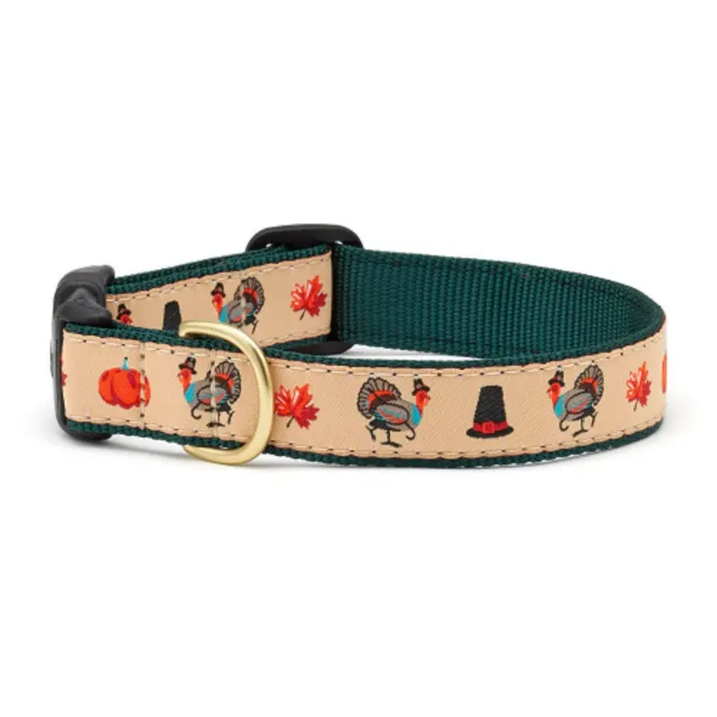 Turkey Trot Dog Collar, Harness & optional leash