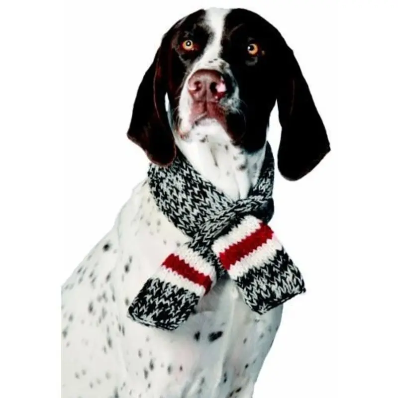 Boyfriend Dog Neck Scarf Small