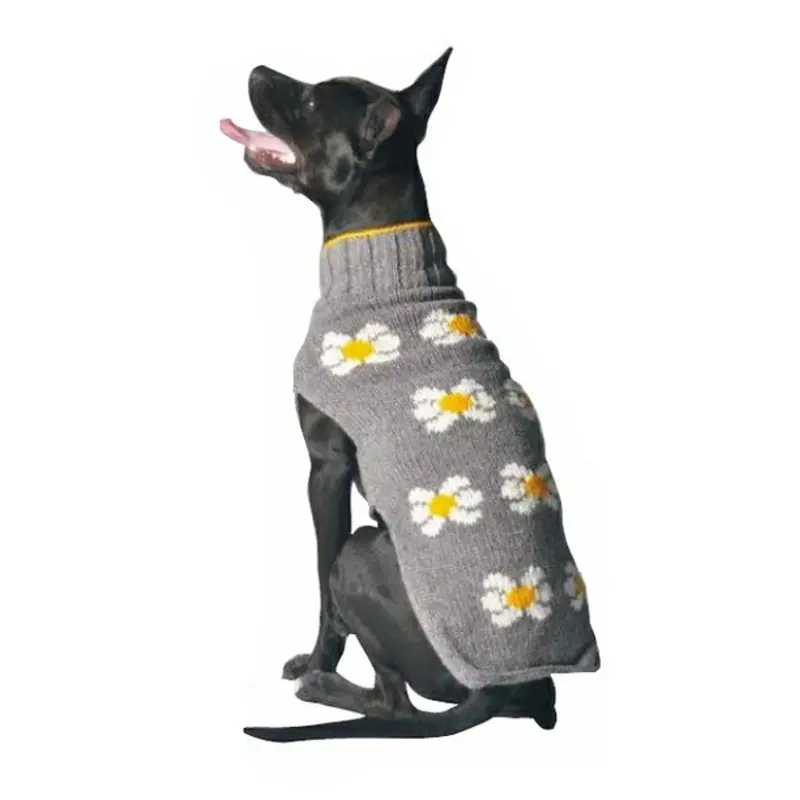 Daisies Knit Dog Sweaters XXS
