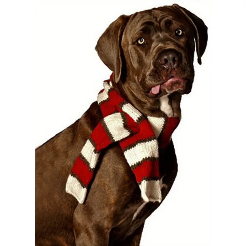 White Winter Dog Neck Scarf - Size Small Small
