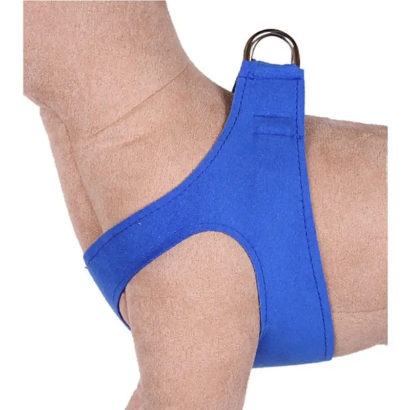 Royal Blue Step-In Harnesses by Susan Lanci -In Stock