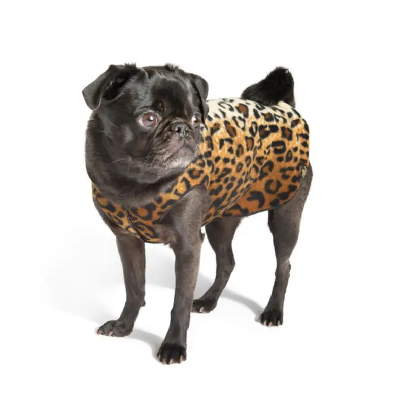 Gold Paw Stretch Fleece - Leopard