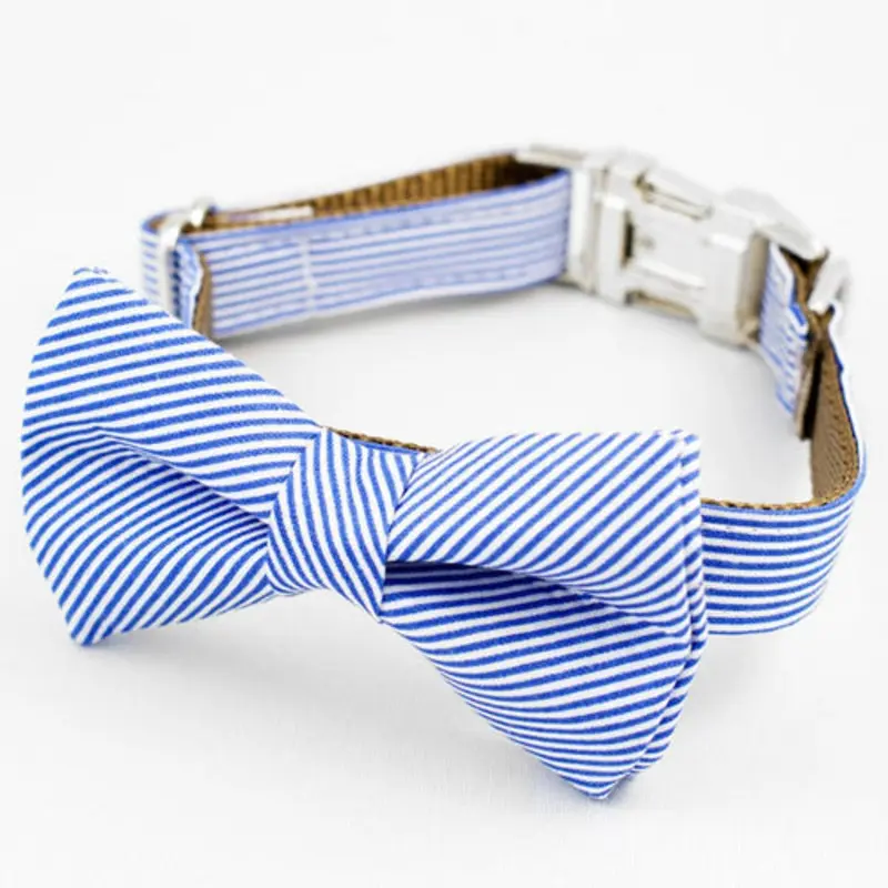 Palms Springs Bow Tie Dog Collar