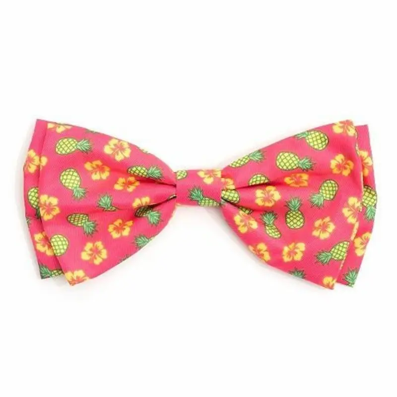 Pineapple Pet Dog Bow Tie Small