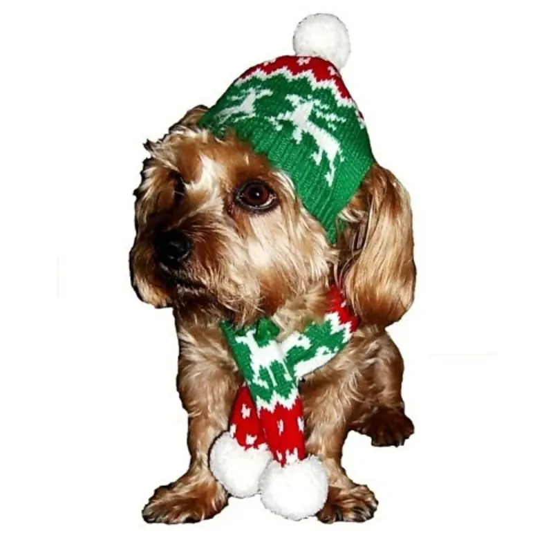Reindeer Dog Hat & Scarf Medium