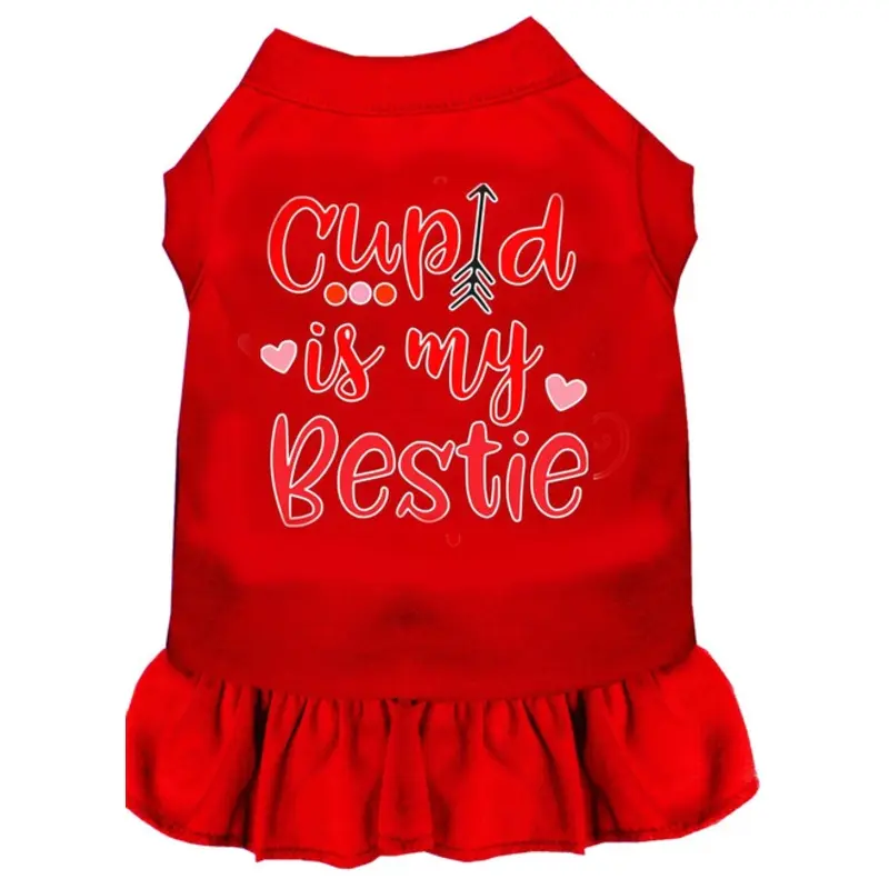 Cupid is my Bestie Screen Print Dog Dress -10 Colors