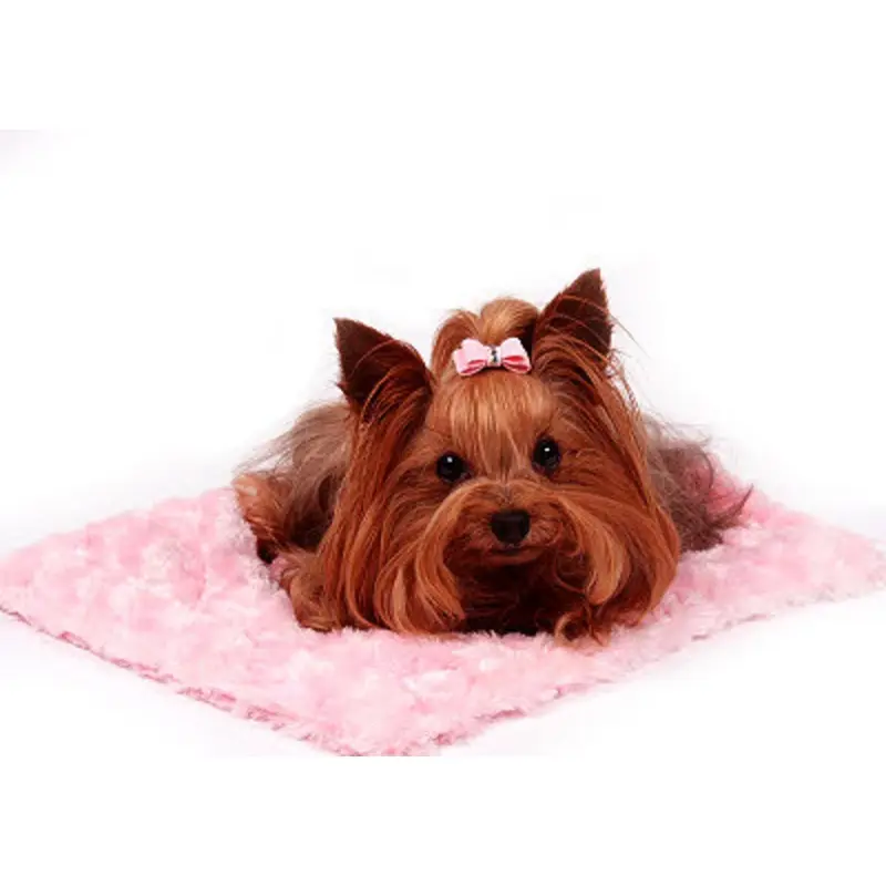 Carrier Plush Dog Blankets - Susan Lanci (14 Colors) Chocolate Shag
