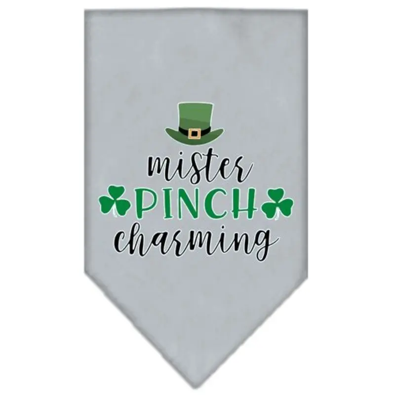 Mister Pinch Charming Screen Print Tie-on Pet Dog Bandana Small  - 14" x 14" square