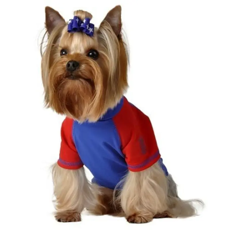 Royal & Red Rash Guard Dog Shirt XS  - Sz 8