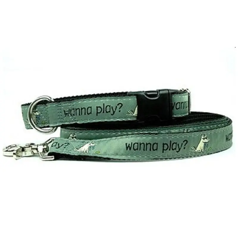 Wanna Play? Dog Collars and Leash Medium