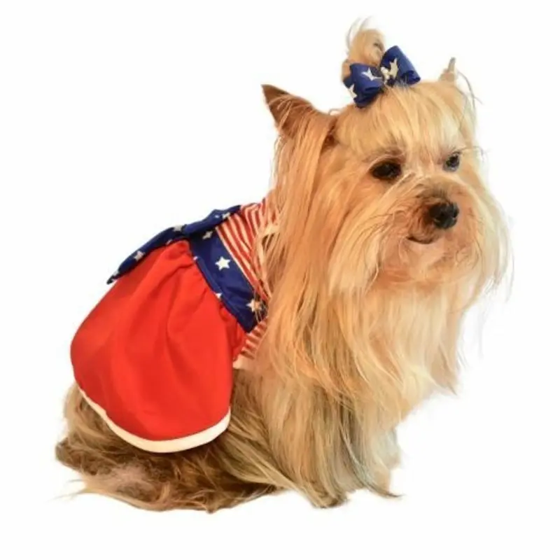 Americana Flag Dog Dress XS  - Sz 8