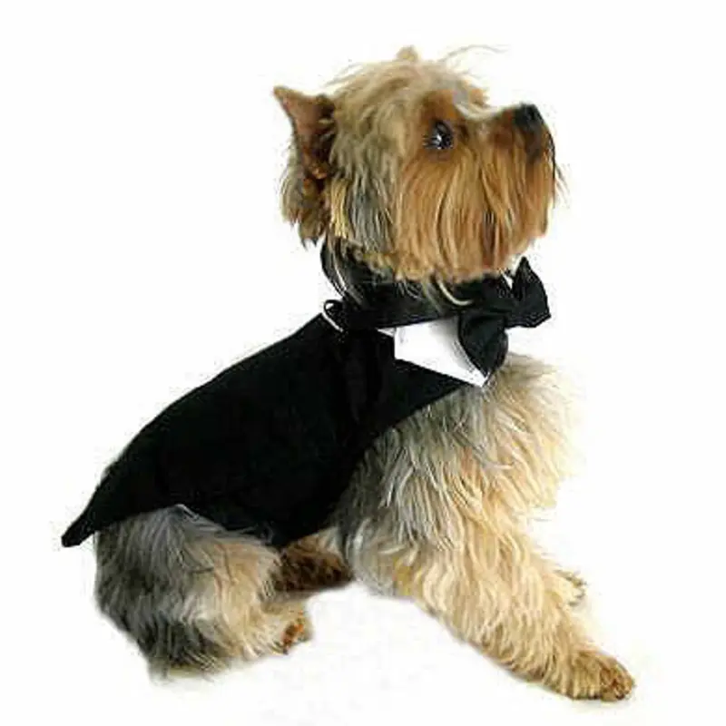Dog Tuxedo Black with Tails, Top Hat & Bow Tie XS