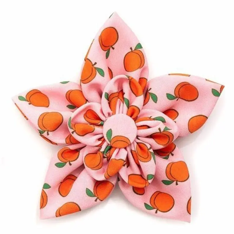 Peachy Keen Pet Dog Collar Flower Small