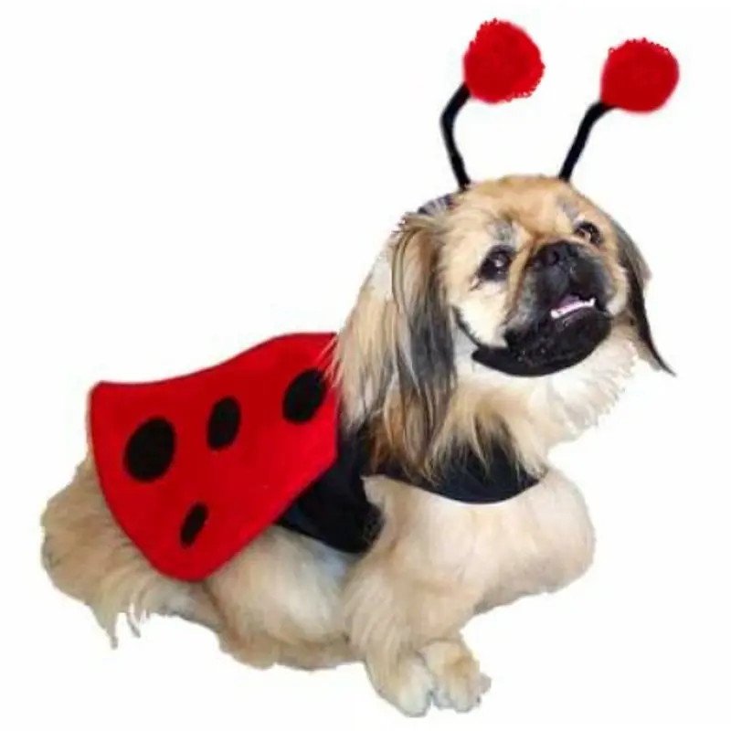 Dog Costume - Lady Bug X-Large