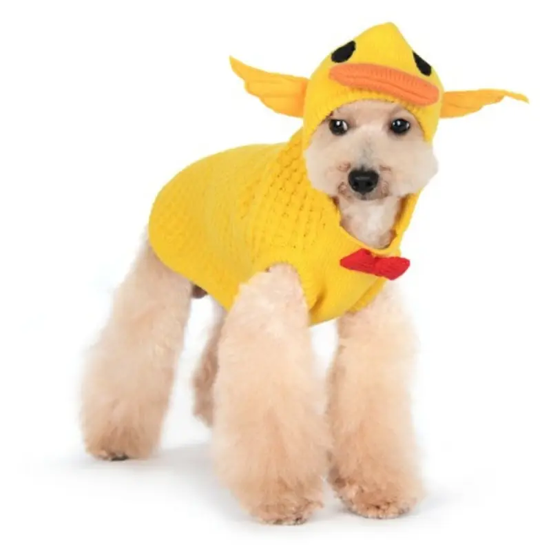 Yellow Duckie Dog Sweater