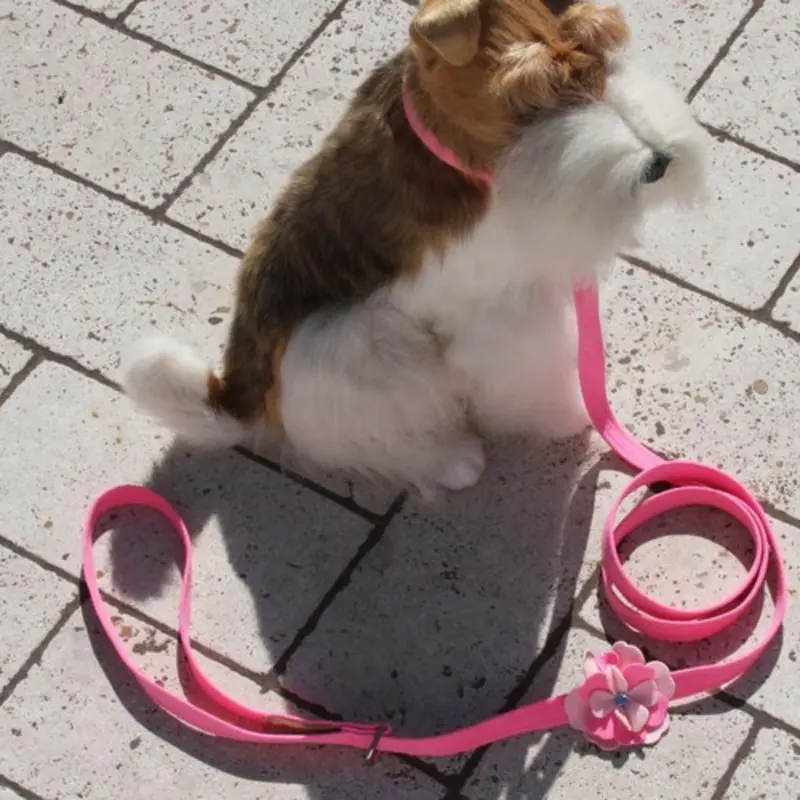 Alexandra Flowers Dog Leash - Susan Lanci