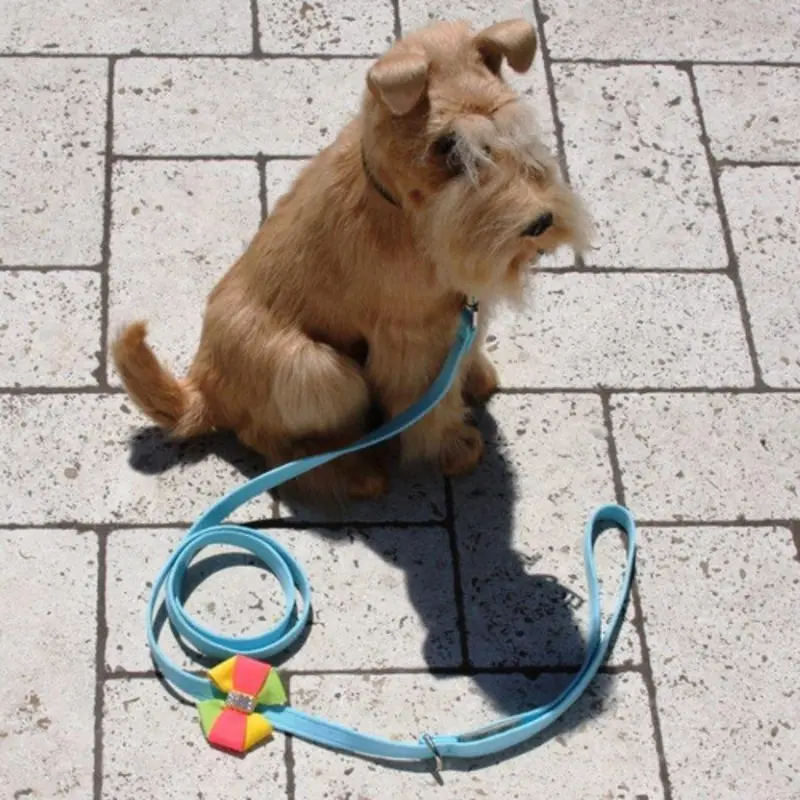 Angela Bow Dog Leash - Susan Lanci