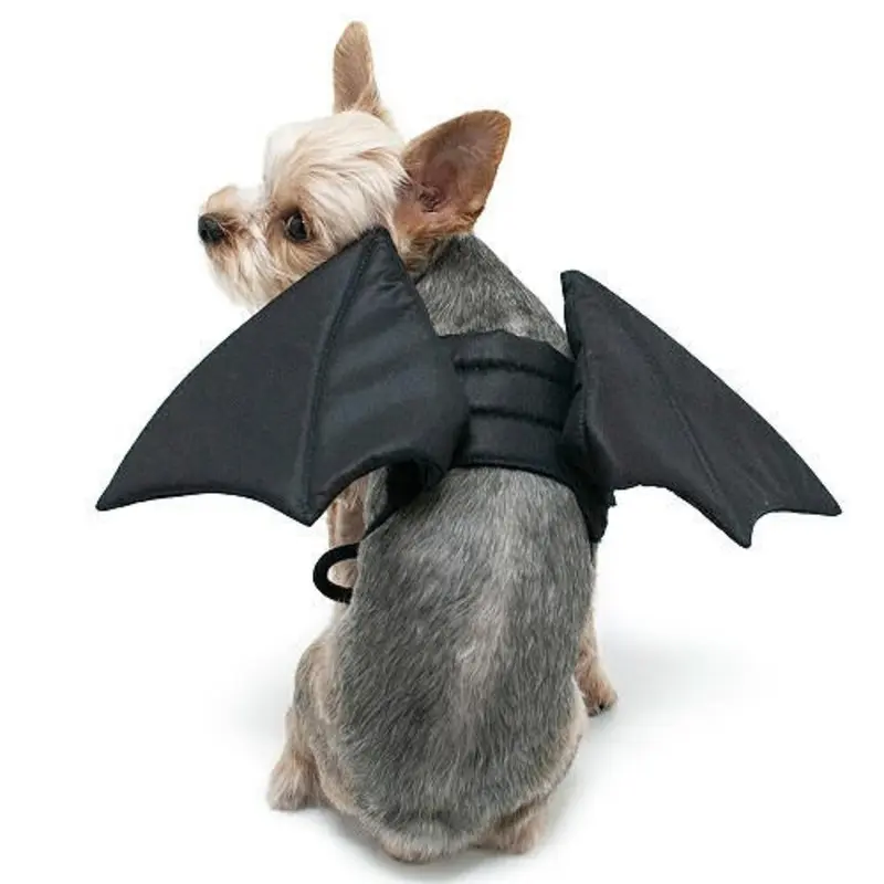 Bat Wings for Dogs