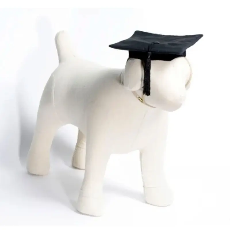 Dog Black Graduation Cap with Tassel XS