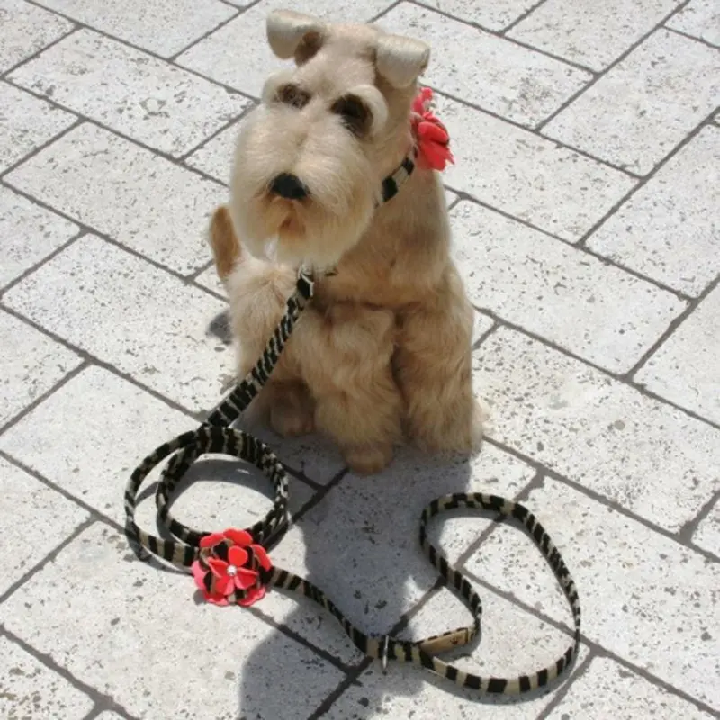 Sarah Flowers Dog Leash - Susan Lanci