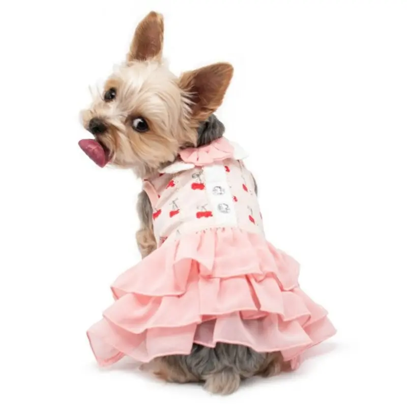 Cherish Cherry Dog Dress XS