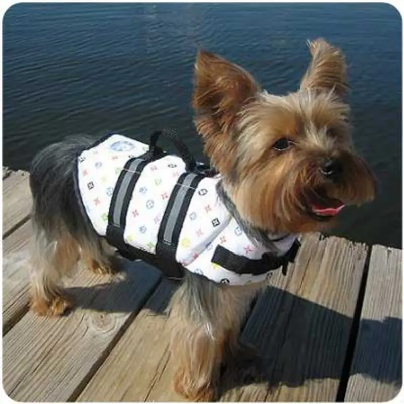 Dog Life Jacket - Louie Large