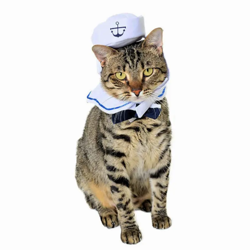 Sailor Costume for Cats One Size