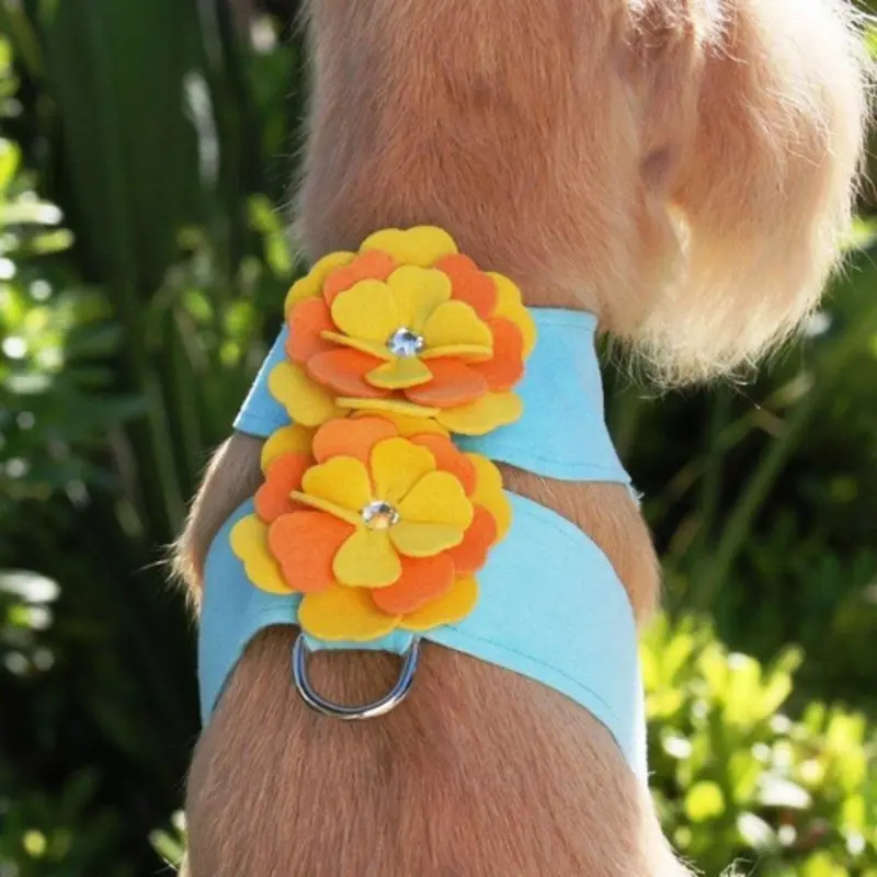 Darla Flowers Tinkie Dog Harness