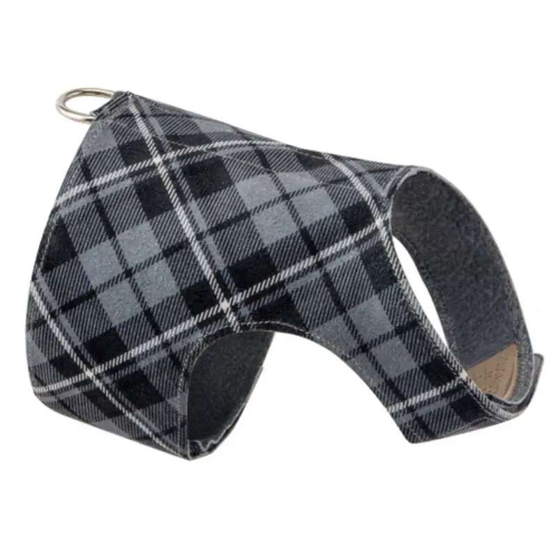 Scotty Bailey Harness Puppy Charcoal Not Now