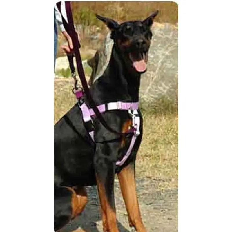 Patented Freedom No-Pull Dog Harness 5/8" XS (15 - 20")