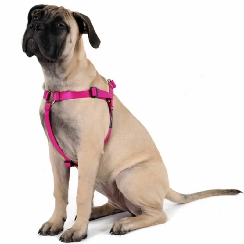 Step-in Swiftlock Dog Harness - Fuchsia