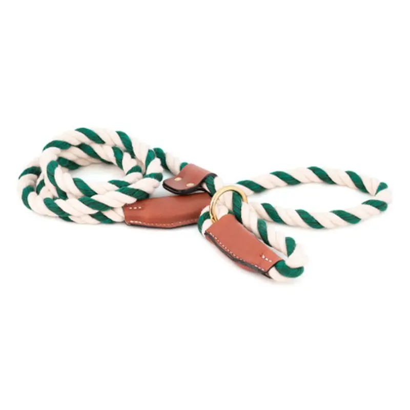 Cotton Rope Slip Leash with Leather Accents - Green & White One Size
