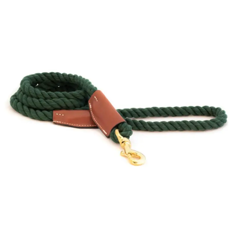 Cotton Rope Leash with Leather Accents - Evergreen - Snap Small  - 3/8" X 72"