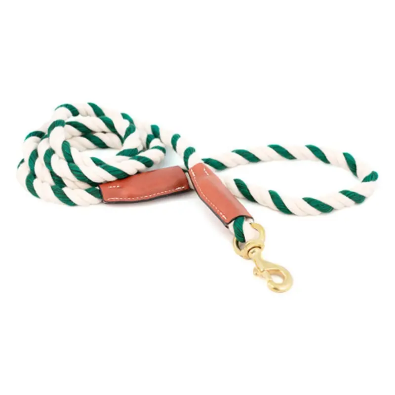 Cotton Rope Leash with Leather Accents - Green & White - Snap Small  - 3/8" X 72"