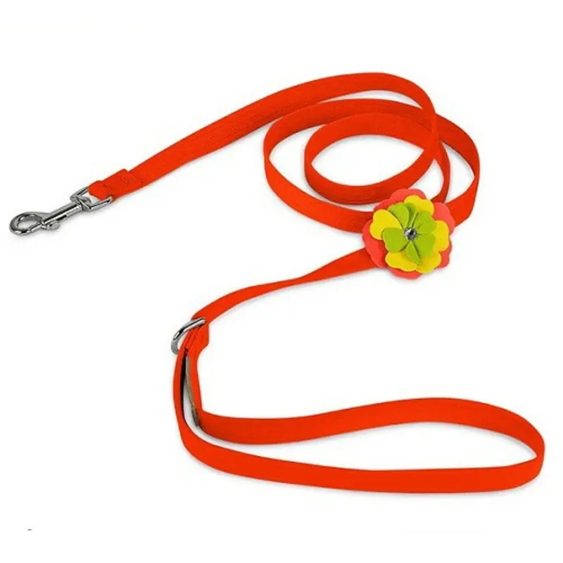 Citrus Flower Dog Leash - Electric Orange