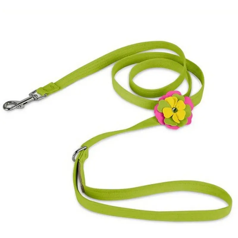 Dragon Fruit Flower Dog Leash - Kiwi