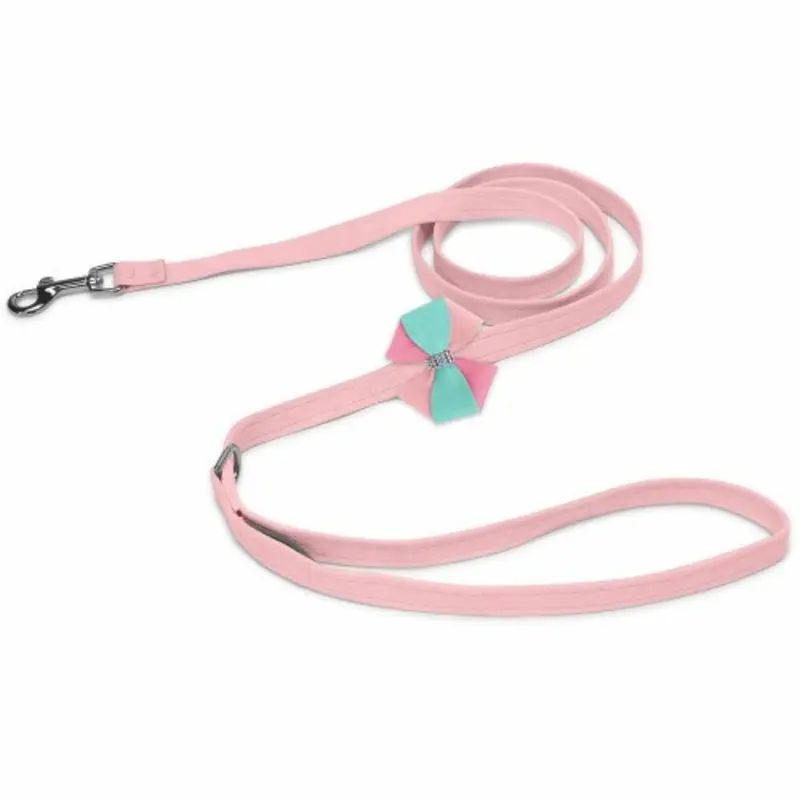 Pinwheel Cotton Candy Dog Leash