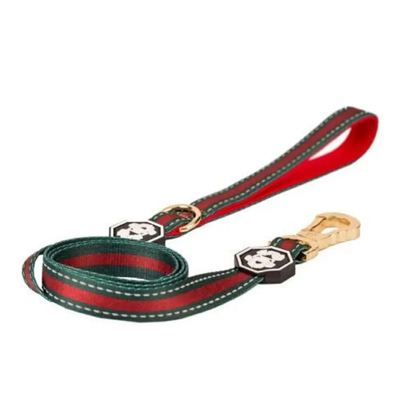 The G-Stripe Dog Leash Small