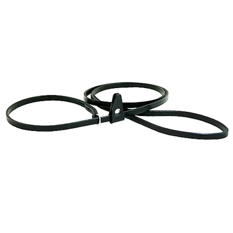 Leather Latigo Kennel Slip Leash 1/4 x 48