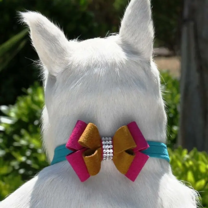 Isabella Bow Dog Collar & optional Leash Non Returnable - Ships in 12 -17 Business days