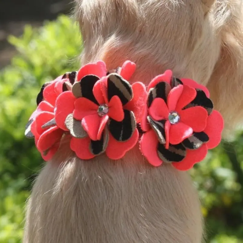 Sarah Flowers Dog Collar & optional Leash Non Returnable - Ships in 12 -17 Business days