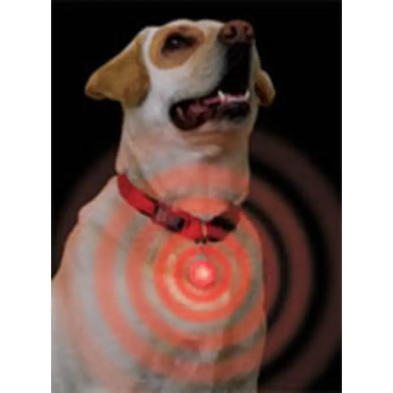Clip on L.E.D. Safety Light - FOR CATS TOO! Lime Green